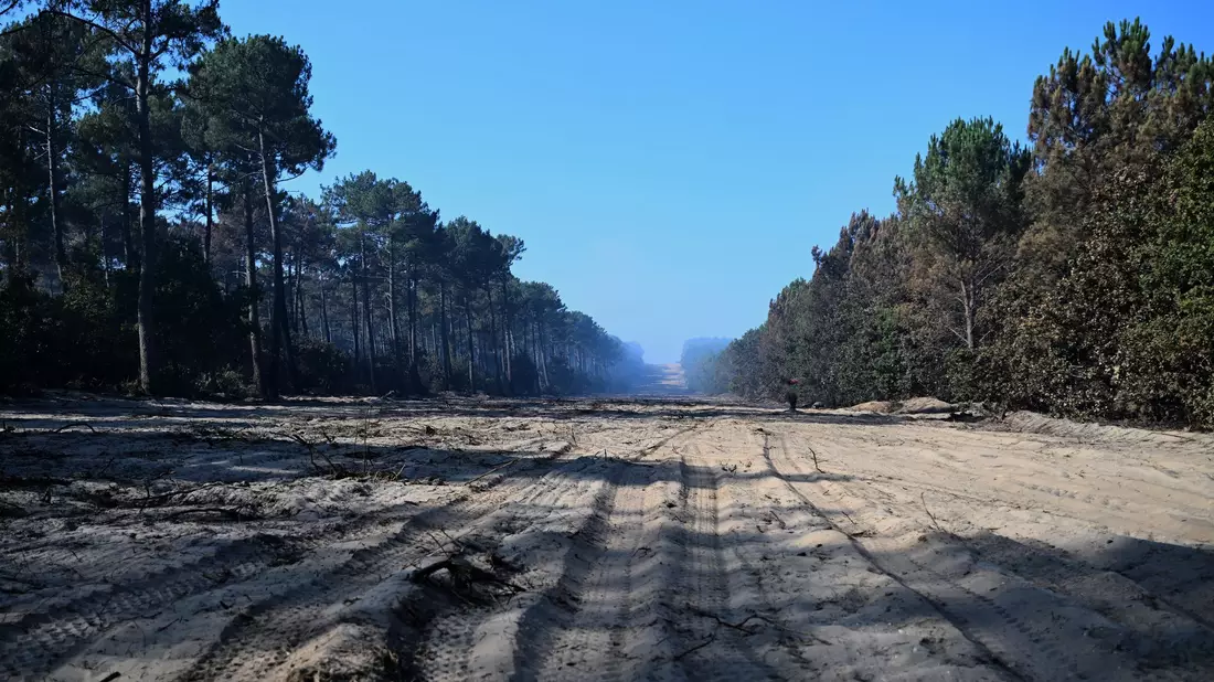 Breite in die Wälder gezogene Schneisen sollen eine Ausbreitung der Waldbrände bei Bordeaux verhindern. - Bild: Emma Da Silva/AP/dpa