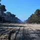 Breite in die Wälder gezogene Schneisen sollen eine Ausbreitung der Waldbrände bei Bordeaux verhindern. - Bild: Emma Da Silva/AP/dpa