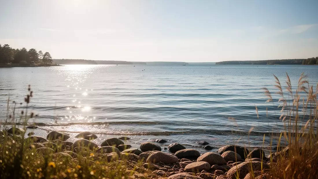 Vibrionen-Infektionen: Ostsee wird durch Klimawandel zum Risikogebiet
