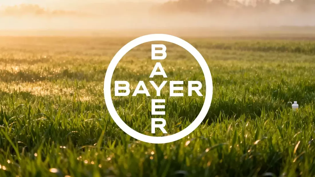 Bayer Stock Rally Hinges on August Earnings and Glyphosate Settlement Hearing