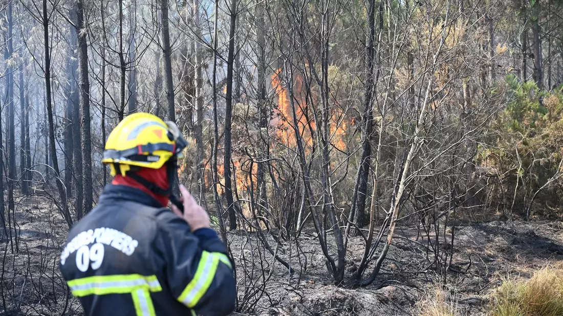 Die Feuerwehr ist rund um die Uhr im Einsatz.  - Bild: Katharina Kausche/dpa