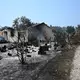 Rund 240 Häuser wurden ein Raub der Flammen. - Bild: Katharina Kausche/dpa