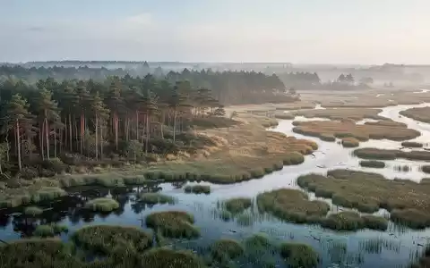 Eine klimaresiliente Küstenlandschaft in Mecklenburg-Vorpommern mit Mischwäldern und Feuchtgebieten bei morgendlichem Licht. - Foto: über boerse-global.de