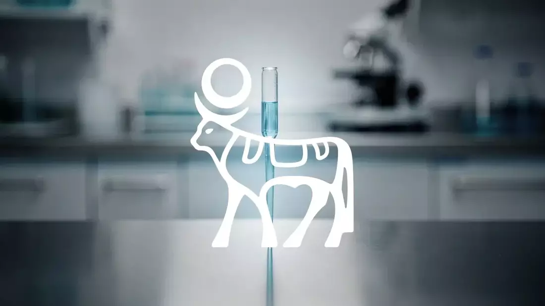 Novo Nordisk Faces Key Earnings, Legal Battle with Lilly, and Generic Threat