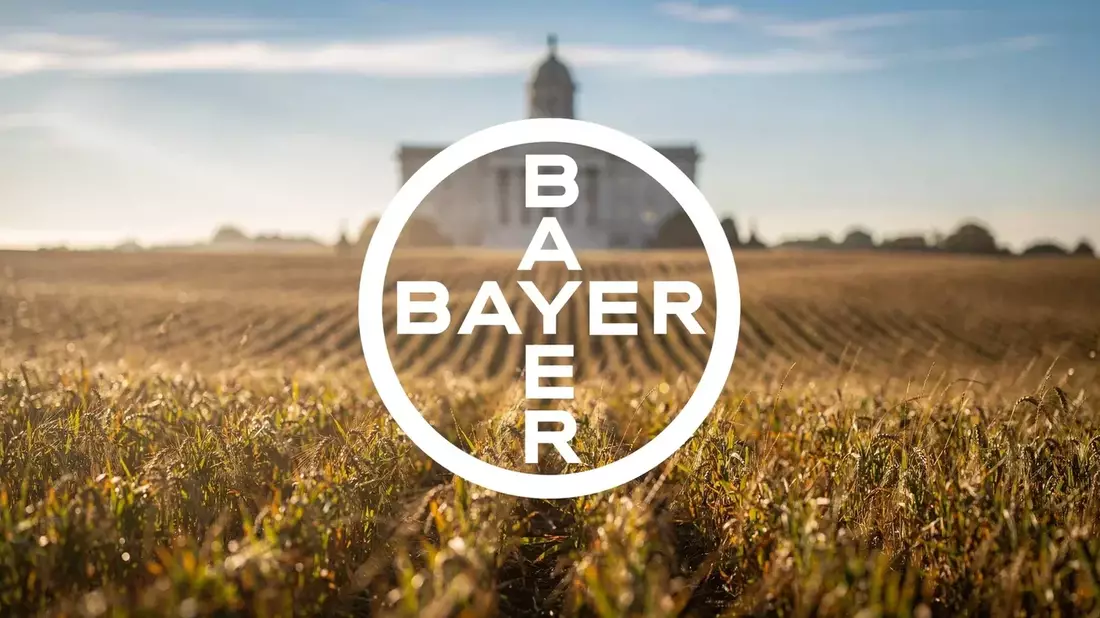 Bayer Stock Consolidates Ahead of Q2 Earnings Amid Debt and Legal Challenges