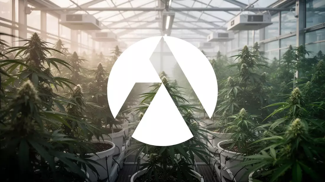 Tilray Aktie: Rekordumsatz im Fiskaljahr, aber Anleger bleiben skeptisch