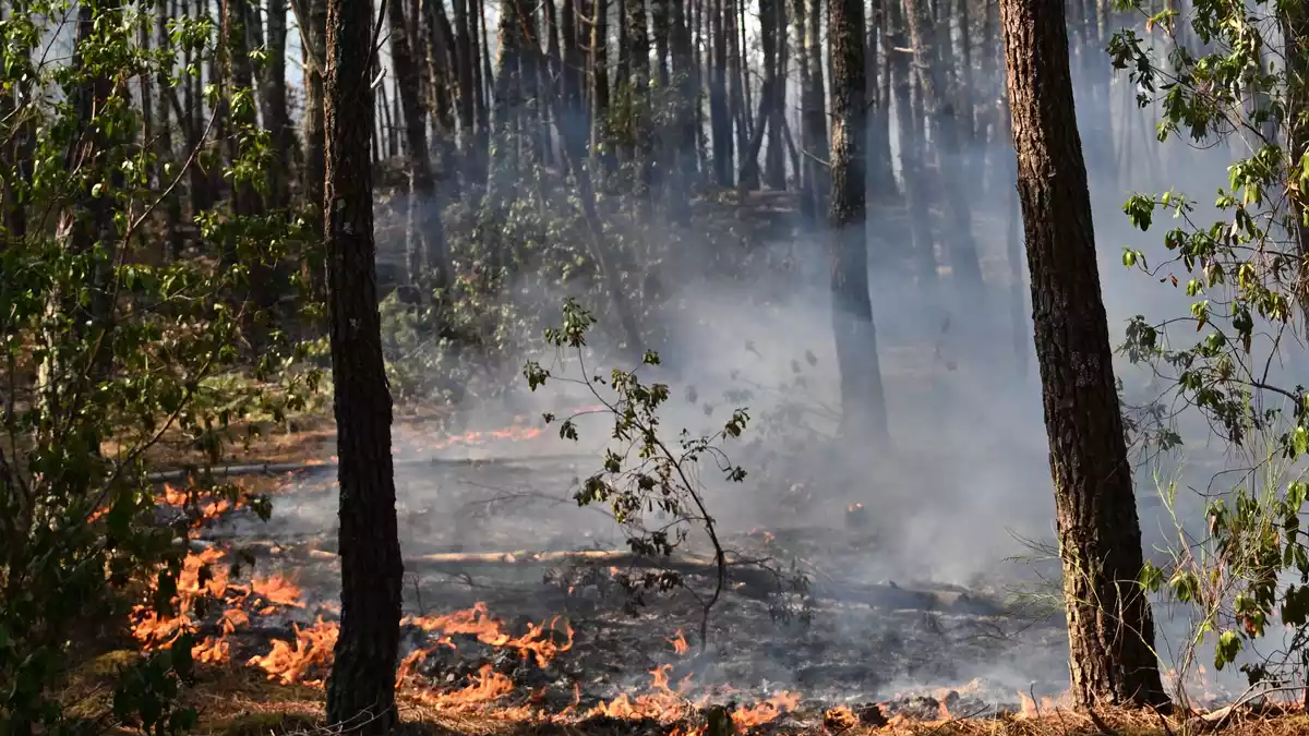 Immer wieder flammen in dem bereits von dem Waldbrand betroffenen Gebiet neue Feuer auf. - Bild: Emma Da Silva/AP/dpa