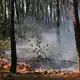 Immer wieder flammen in dem bereits von dem Waldbrand betroffenen Gebiet neue Feuer auf. - Bild: Emma Da Silva/AP/dpa