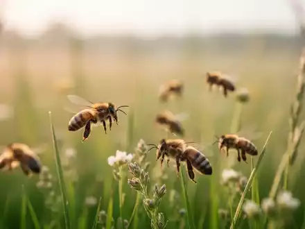 Nahaufnahme von Bienen in einer natürlichen Wiesenlandschaft bei sanftem Morgenlicht. - Foto: über boerse-global.de