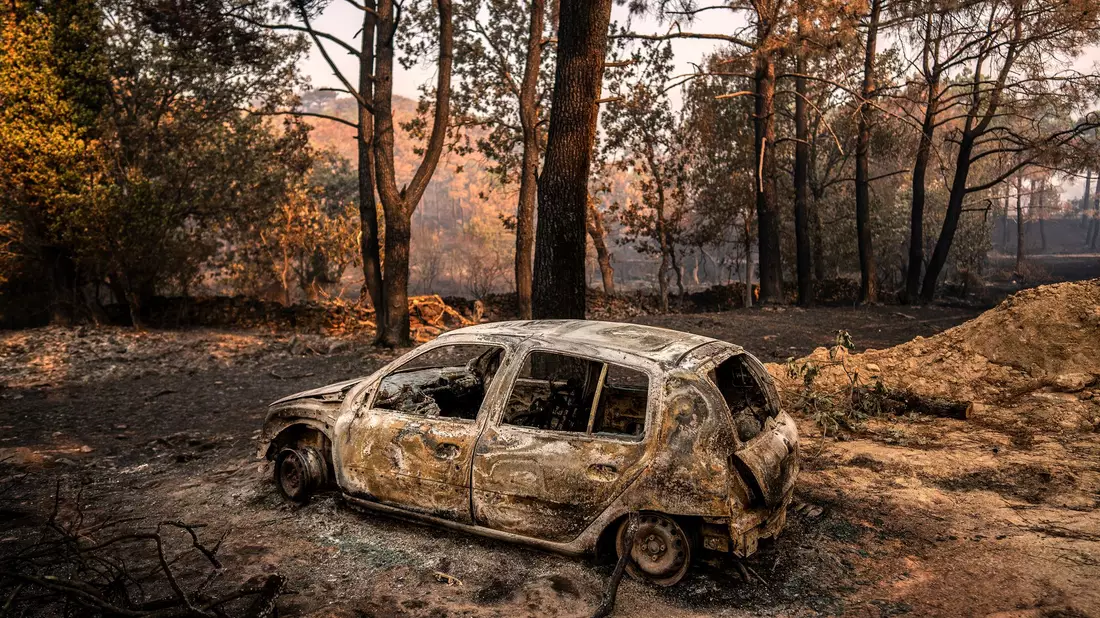 Die Waldbrände haben in Spanien große Verwüstung hinterlassen. - Bild: Olmo Calvo/AP/dpa