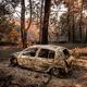 Die Waldbrände haben in Spanien große Verwüstung hinterlassen. - Bild: Olmo Calvo/AP/dpa