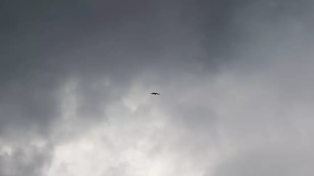 Der Südosten Brasiliens wurde vom Windsturm stark betroffen. (Symbolbild) - Bild: Rolf Vennenbernd/dpa