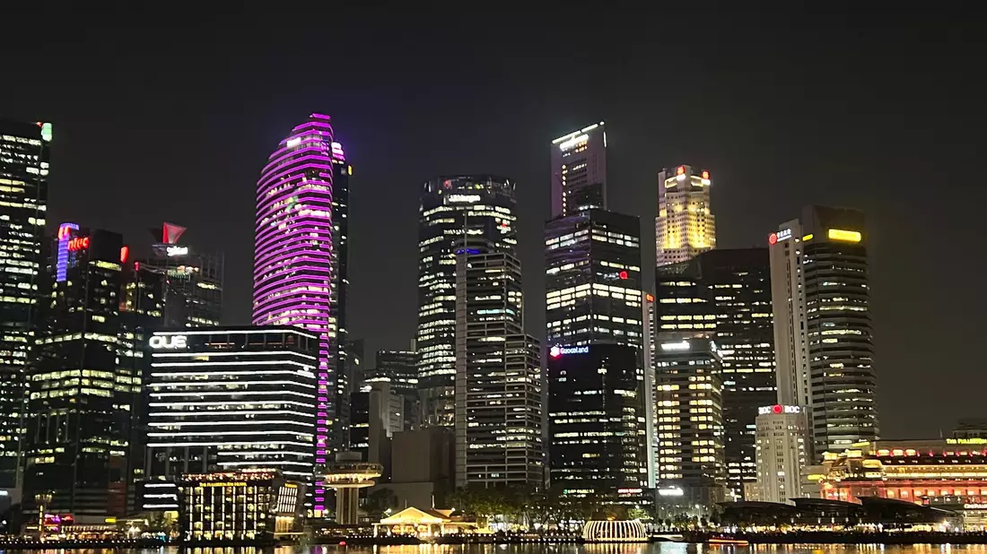 Die Glitzermetropole Singapur ist für ihre strengen Gesetze bekannt.  - Bild: Carola Frentzen/dpa