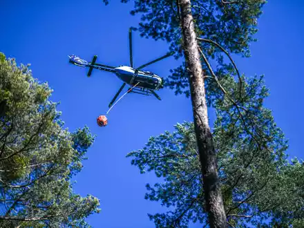 Die Feuerwehr versucht den Brand auch mit Löschhubschraubern zu bekämpfen. (Symbolbild) - Foto: Jason Tschepljakow/dpa