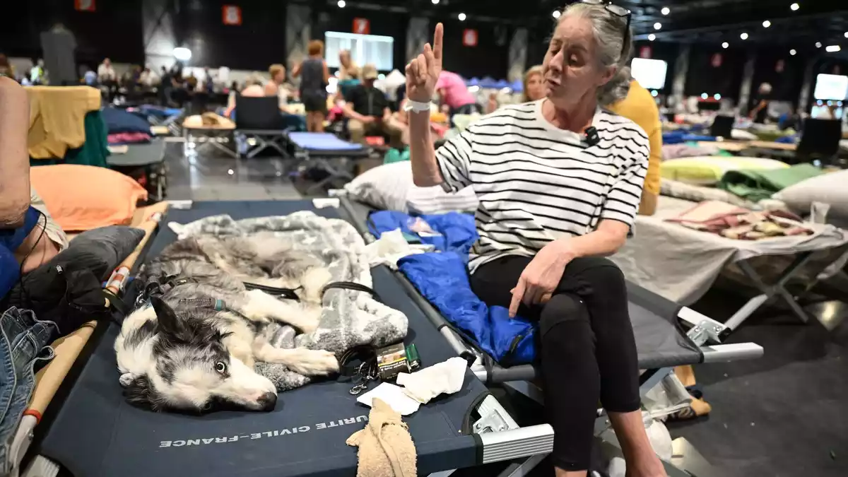 Karine Soulard ist sich sicher, dass auch ihre Hündin Simba von der Evakuierung erschöpft ist. - Bild: Katharina Kausche/dpa