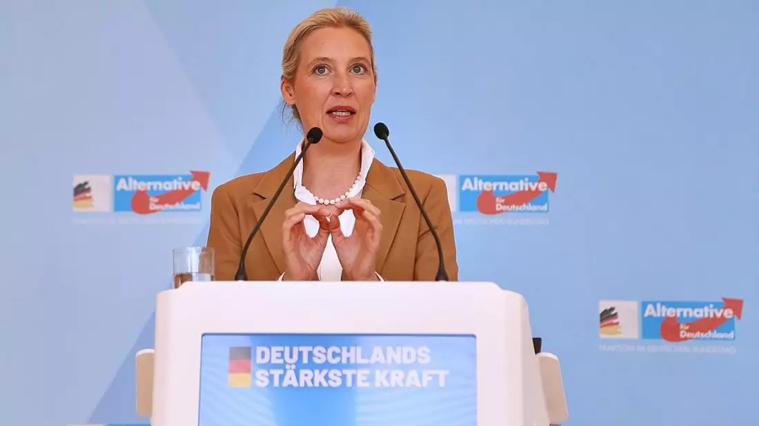 AfD will Fünf-Prozent-Hürde ersatzlos streichen