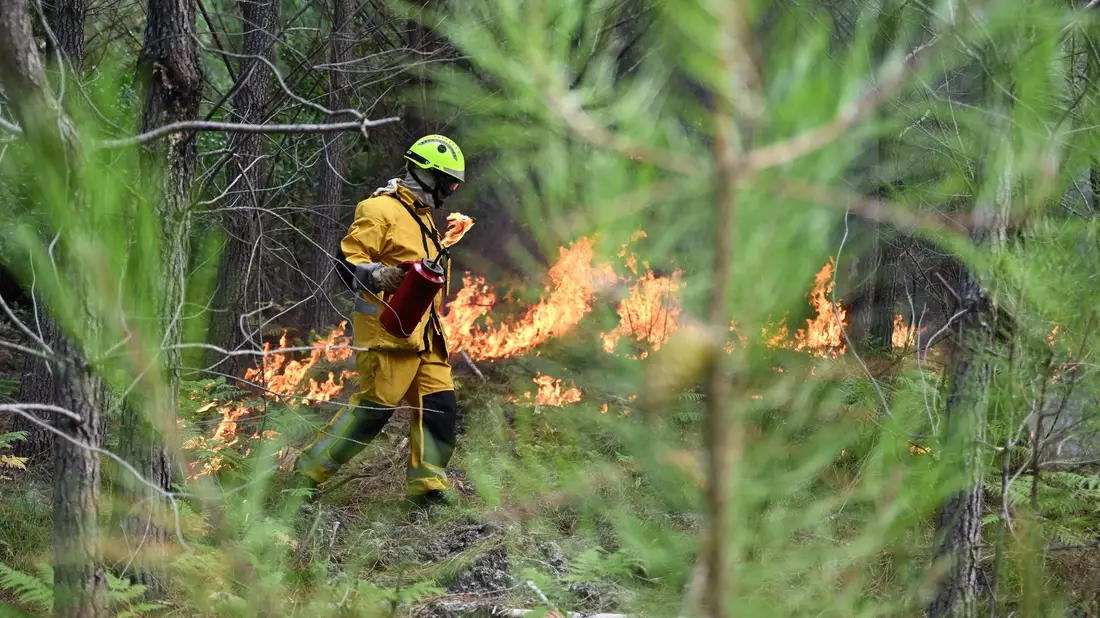 In der Waldbrandregion an der französischen Atlantikküste gibt es ein vorsichtiges Aufatmen für Einsatzkräfte und Bevölkerung. - Bild: Emma Da Silva/AP/dpa