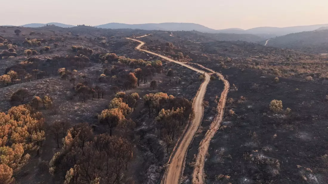  Diese vierte Hitzewelle des Sommers in Spanien soll bis Sonntag anhalten. - Bild: Manu Fernandez/AP/dpa
