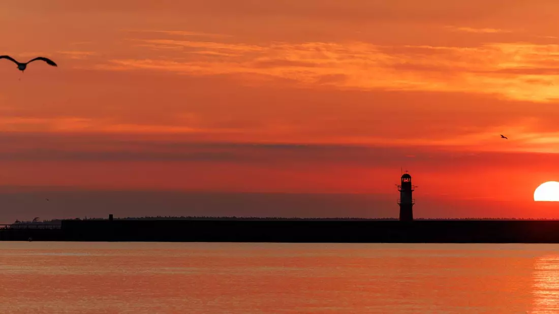 Die Sonne schien im Juli überdurchschnittlich oft. - Bild: Jens Büttner/dpa