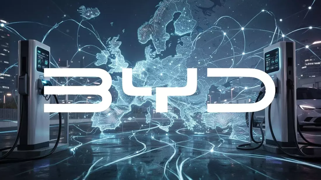 BYD Final Dividend Payout July 31: Tax Varies by Investor Type