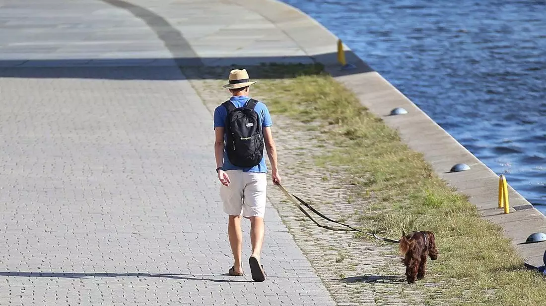 DWD: Südwesten erlebt im Juli extreme Hitze und Trockenheit