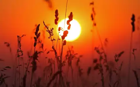 Insgesamt wurden im Juli im Schnitt rund 272 Sonnenstunden gemessen - Foto: Matthias Bein/dpa