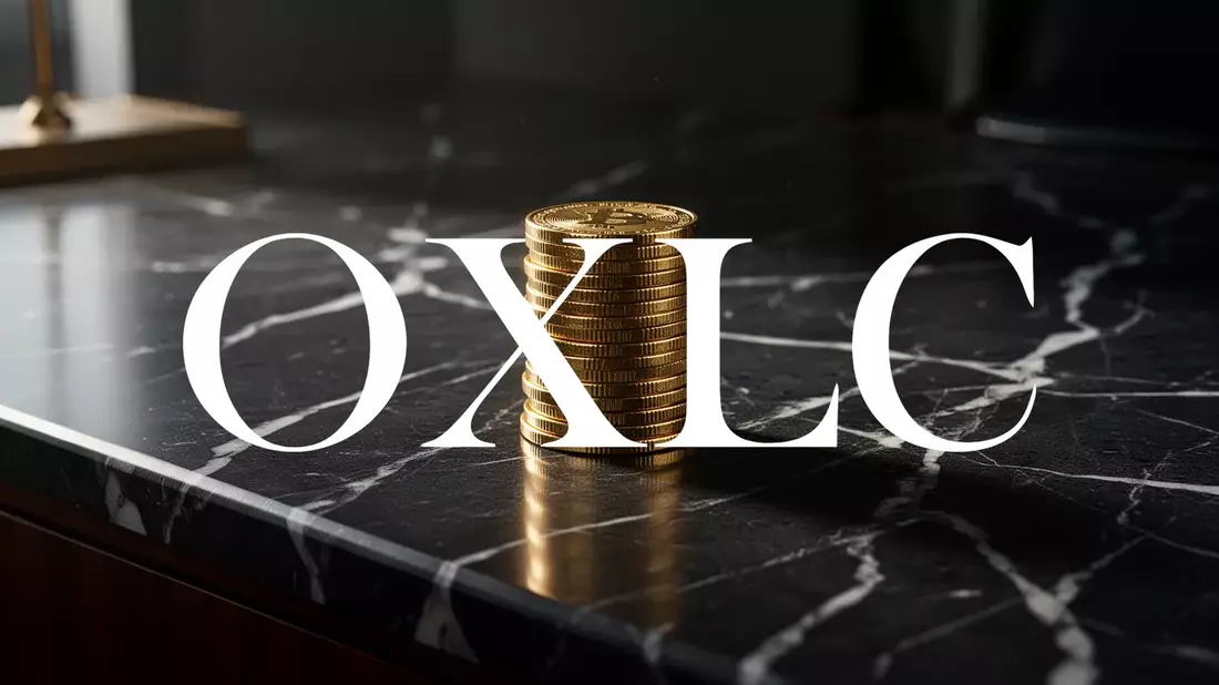 Oxford Lane Capital: Starke Erträge untermauern hohe Dividende