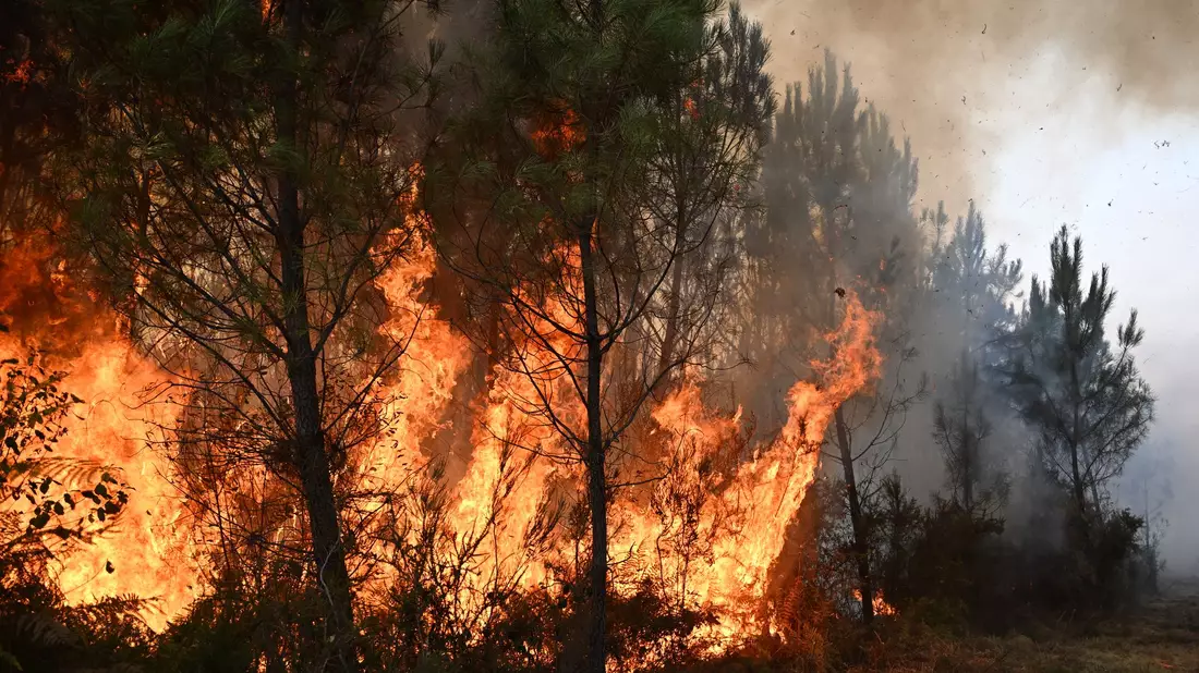 Der Klimawandel führt zu mehr Waldbränden. Gleichzeitig fachen die Emissionen der Feuer - Bild: Emma Da Silva/AP/dpa