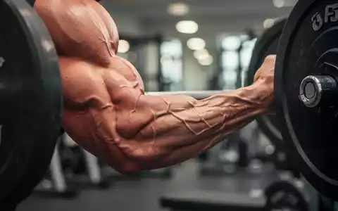 Detailaufnahme eines trainierten Muskels während des Krafttrainings in einem Fitnessstudio. - Foto: über boerse-global.de