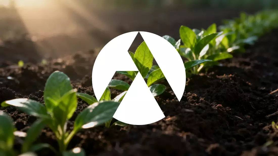 Tilray Aktie: Rekordumsatz trifft auf anhaltende Verluste