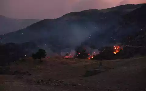 Die Feuerwehr kann den Waldbränden auf Kreta kaum Herr werden. - Foto: Giannis Angelakis/AP/dpa
