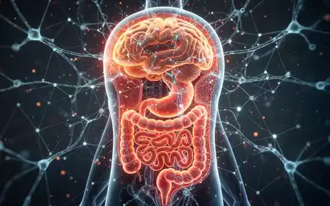 Abstrakte Darstellung der Verbindung zwischen Verdauungssystem und Gehirn durch Nervenbahnen für kognitive Gesundheit. - Foto: über boerse-global.de
