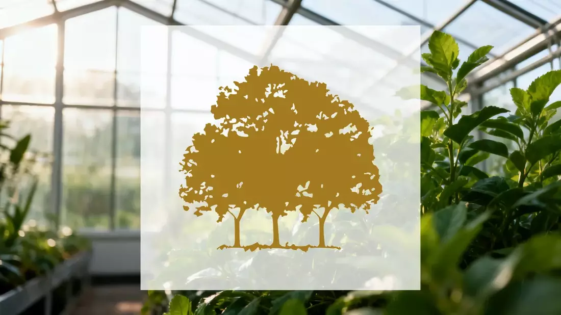 Canopy Growth: Quartalszahlen als Richtungsweiser für die Cannabis-Aktie