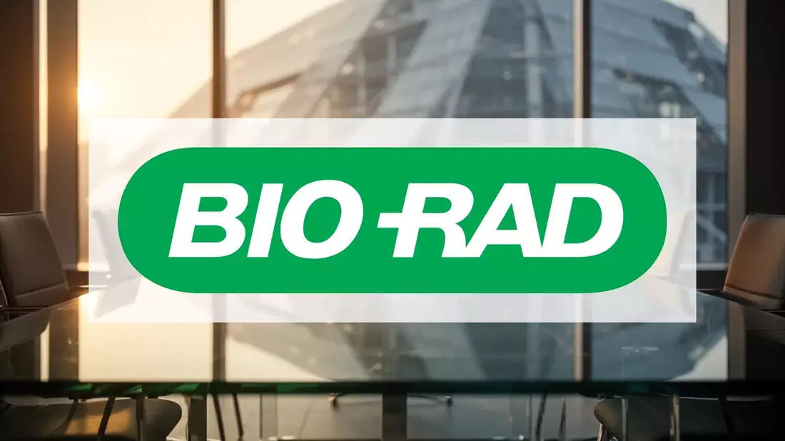 Biogena Group Invest: Fusion mit Good Vibes AG nimmt konkrete Formen an