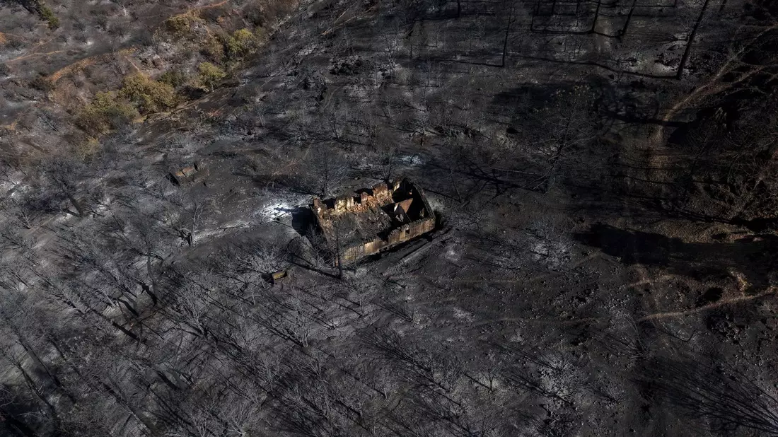 Verwüstet:  Das Gebiet in El Tiemblo in der spanischen Provinz Ávila. - Bild: Manu Fernandez/AP/dpa