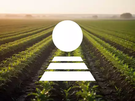 Weite, moderne Agrarfläche bei Sonnenuntergang als Symbol für den Agrarsektor. - Foto: über boerse-global.de