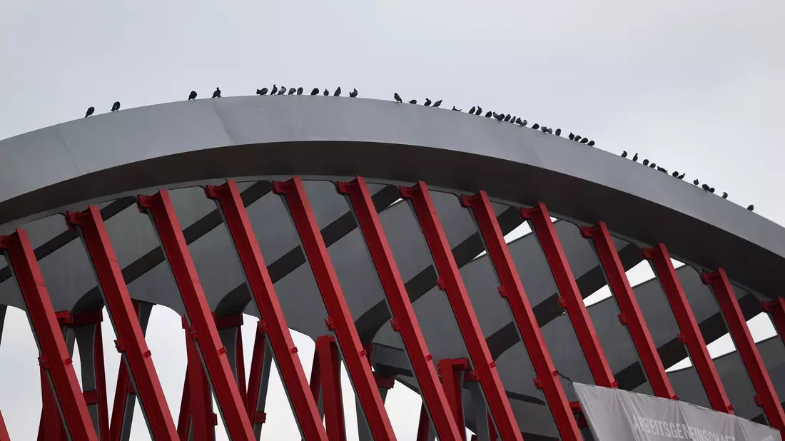 Auch die Tauben haben es sich schon gemütlich gemacht.  - Bild: Christian Charisius/dpa
