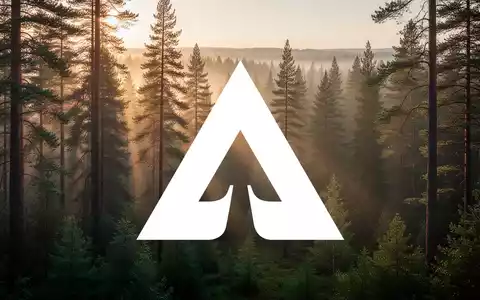 Ein nebliger Nadelwald bei Sonnenaufgang, der die Erholung der Bauholzbranche symbolisiert. - Foto: über boerse-global.de
