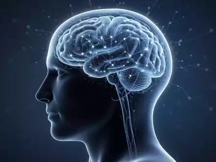 Grafische Darstellung eines menschlichen Kopfprofils mit leuchtenden neuronalen Strukturen zur Veranschaulichung der Gehirngesundheit. - Foto: über boerse-global.de