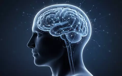 Grafische Darstellung eines menschlichen Kopfprofils mit leuchtenden neuronalen Strukturen zur Veranschaulichung der Gehirngesundheit. - Foto: über boerse-global.de