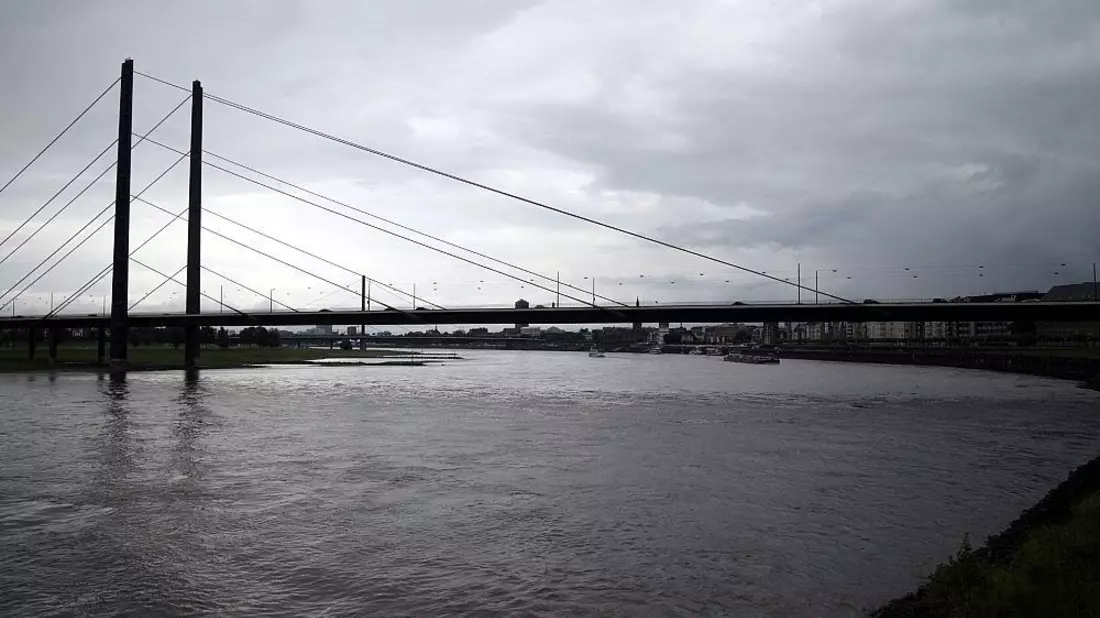 IW warnt vor den Folgen des Rhein-Niedrigwassers