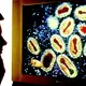 Eine Studie gibt den bislang klarsten Hinweis, dass die Europäer die Pockenkrankheit in die Neue Welt brachten. (Archivbild) - Bild: picture alliance / dpa