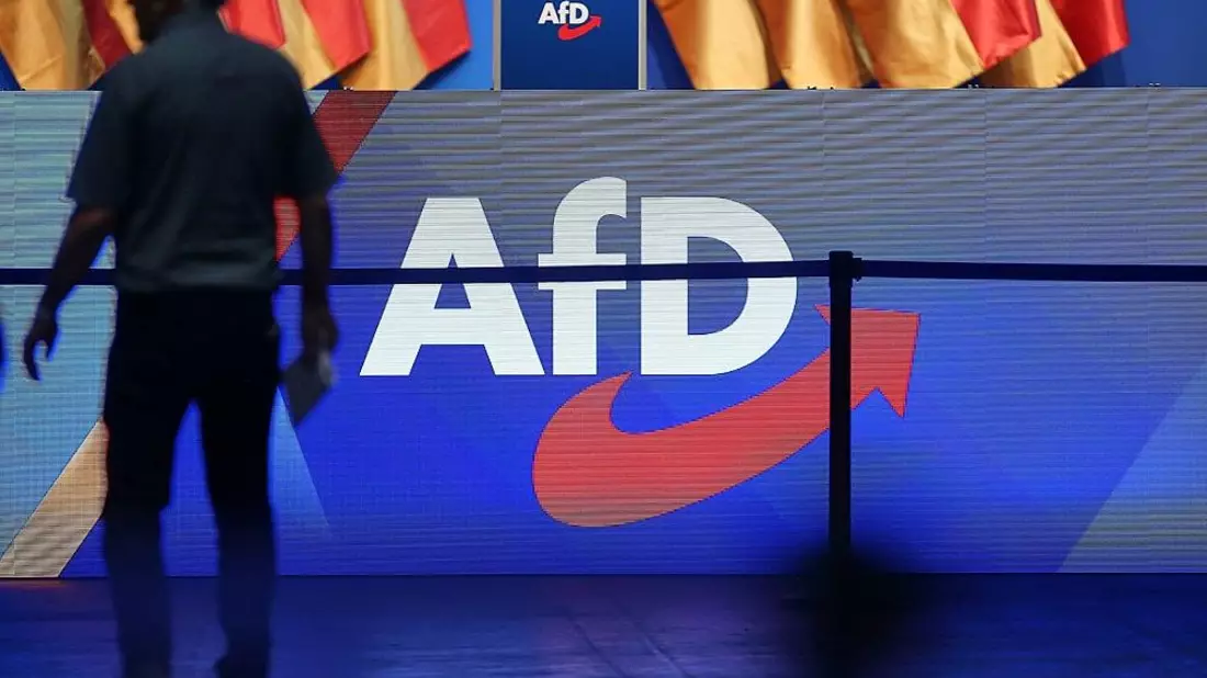 Ex-Verfassungsrichter warnt vor kleinem Parteiverbot der AfD