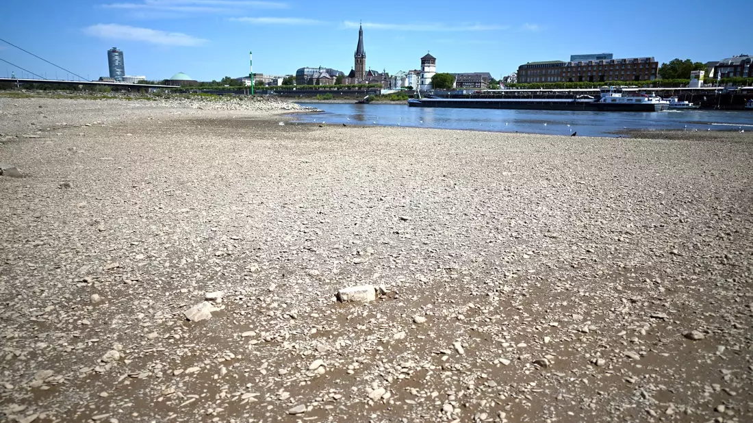 Ein Schiff fährt in Düsseldorf bei niedrigem Wasserstand auf dem Rhein. (Archivbild) - Bild: Federico Gambarini/dpa