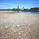Ein Schiff fährt in Düsseldorf bei niedrigem Wasserstand auf dem Rhein. (Archivbild) - Bild: Federico Gambarini/dpa