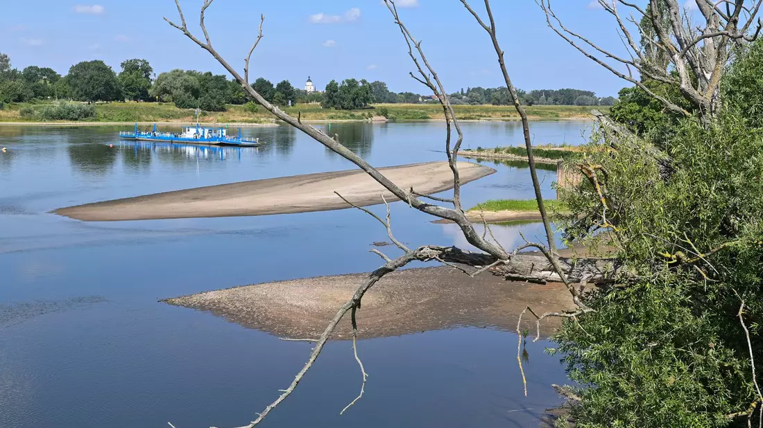 Eine Fähre quert die Elbe in Sachsen-Anhalt. (Archivbild) - Bild: Klaus-Dietmar Gabbert/dpa