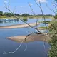 Eine Fähre quert die Elbe in Sachsen-Anhalt. (Archivbild) - Bild: Klaus-Dietmar Gabbert/dpa
