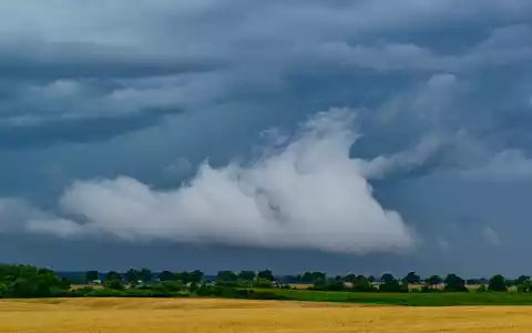 Der Deutsche Wetterdienst erwartet wieder Hitze - und auch Gewitter - Foto: Patrick Pleul/dpa