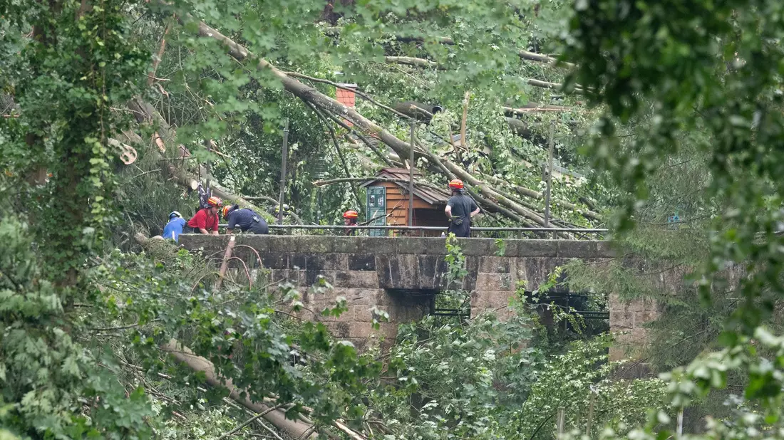 Bei einem Unwetter stürzten zalhreiche Bäume um.  - Bild: Sebastian Kahnert/dpa