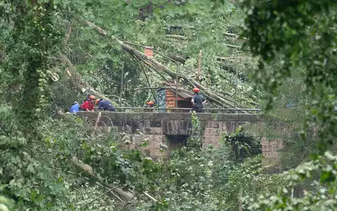 Bei einem Unwetter stürzten zalhreiche Bäume um.  - Foto: Sebastian Kahnert/dpa